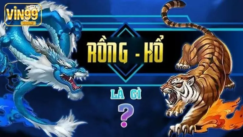 Rồng Hổ là gì?